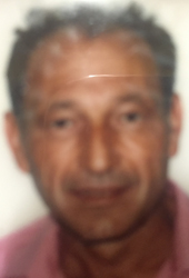 Raffaele Meola